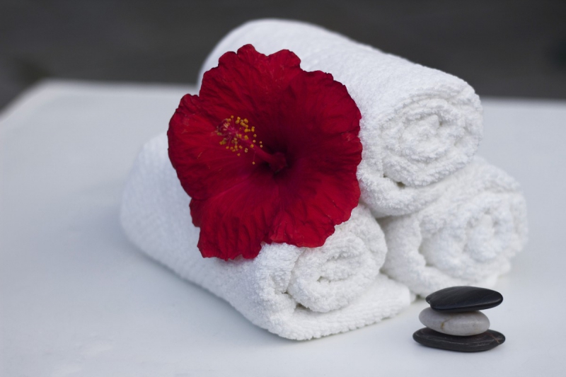 chambre-hote-SEILLANS-min_towel_hibiscus_clean_care_salon_spa_white_bath-869834